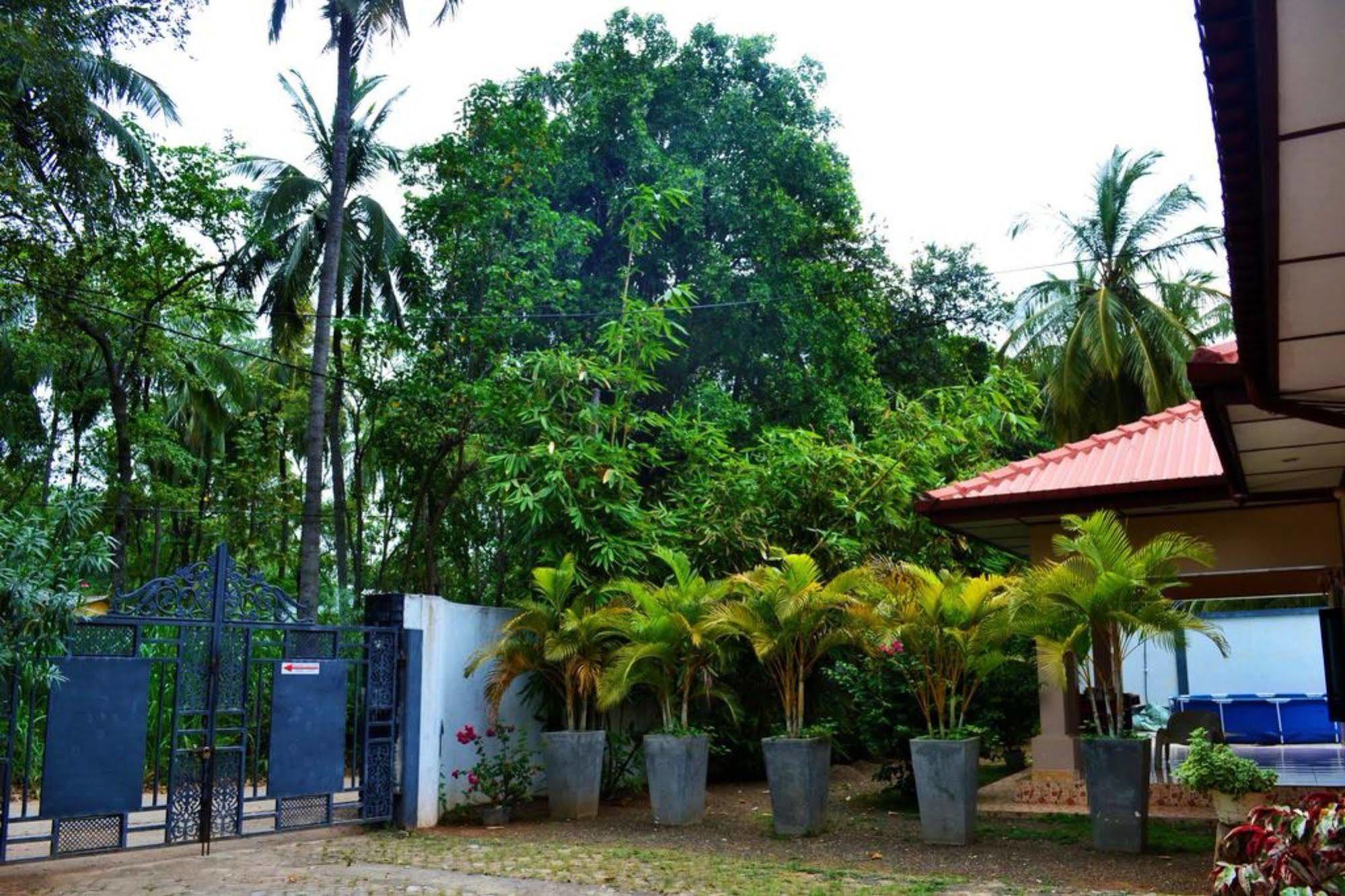 Dambulla City Hostel Екстериор снимка