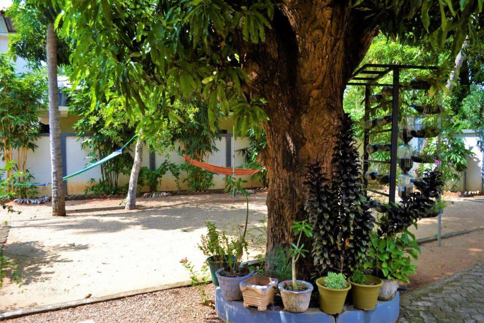 Dambulla City Hostel Екстериор снимка